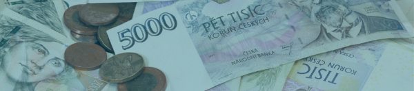 JAK NE VŽDY SE VYPLATÍ UŠETŘIT NA PRÁVNÍKOVI